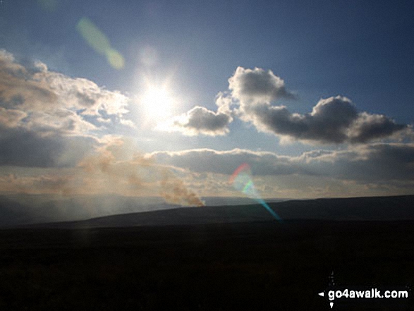 On Redmire Moor 