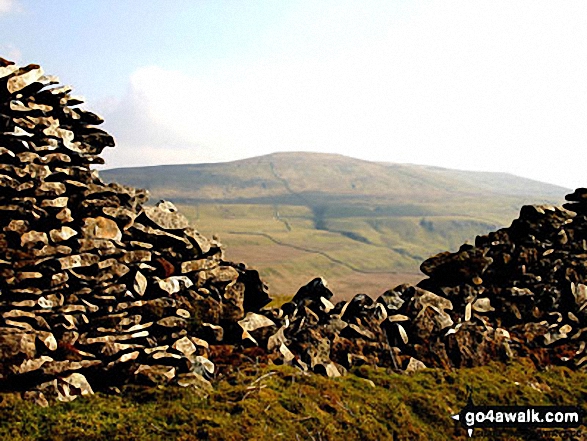 Walk ny153 Sugar Loaf (Horse Head Moor) and Firth Fell from Buckden - Buckden Pike from the track above Cray