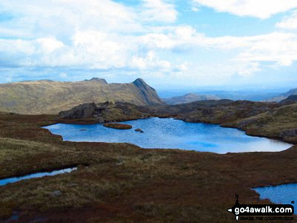 Walk c139 Allen Crags, Glaramara and Seathwaite Fell from Seatoller (Borrowdale) - The Langdales from High House Tarn