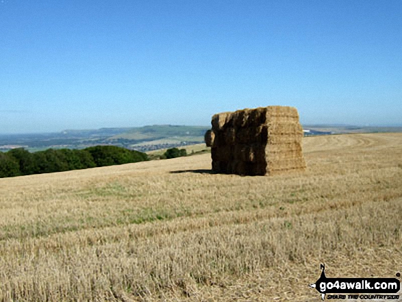 Walk ws122 Steyning Round Hill from Steyning - Hay Bale Stack on The South Downs Way where it crosses Steyning Round Hill