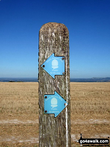 The South Downs Way marker post on Steyning Round Hill 