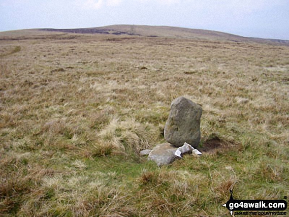 Walk c375 Nine Standards Rigg via The Coast to Coast walk from Kirkby Stephen - Nine Standards Rigg from White Mossy Hill summit cairn