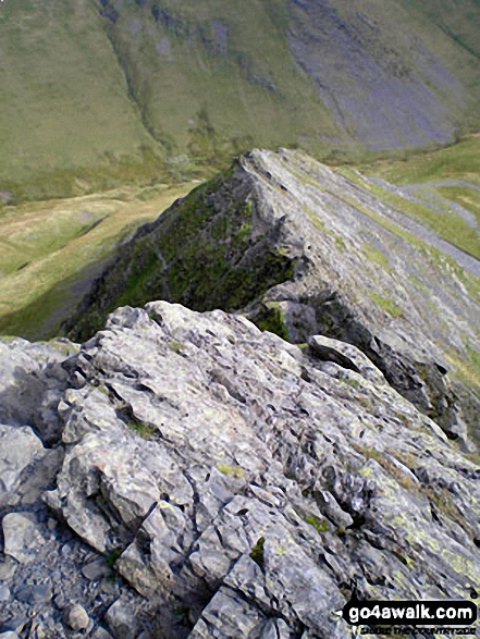 Walk c117 Blencathra and Knowe Crags (Blease Fell) via Sharp Edge from Scales - Sharp Edge in all its glory, Blencathra (or Saddleback)