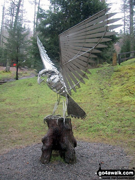 Walk c169 Grisedale Pike and Hopegill Head from Whinlatter Forest - Sculpture outside Whinlatter Forest Park Visitors Centre