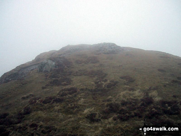 Walk c183 Lord's Seat and Graystones from Whinlatter Forest Park - Barf summit appears out of the mist