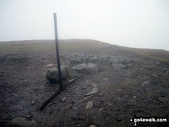 Walk c360 The Lorton and Wythop Fells from Whinlatter Forest Park - Lord's Seat (Whinlatter) summit in mist