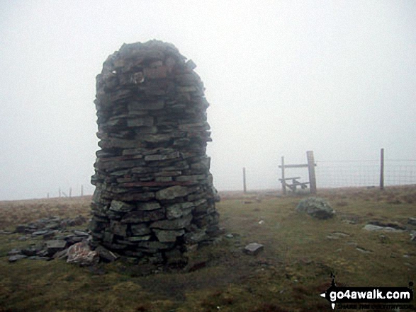 Walk c183 Lord's Seat and Graystones from Whinlatter Forest Park - Broom Fell summit cairn