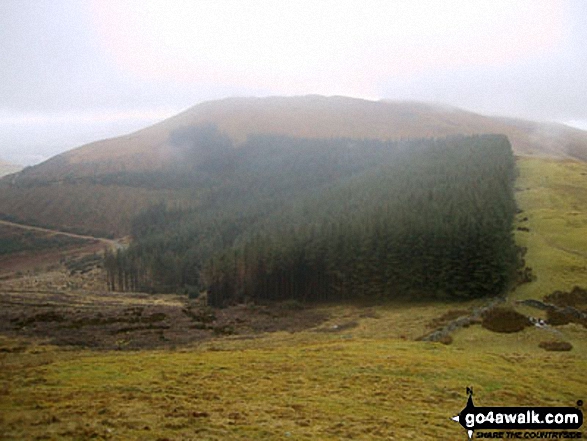 Walk c183 Lord's Seat and Graystones from Whinlatter Forest Park - Graystones above Widow Hause from Broom Fell