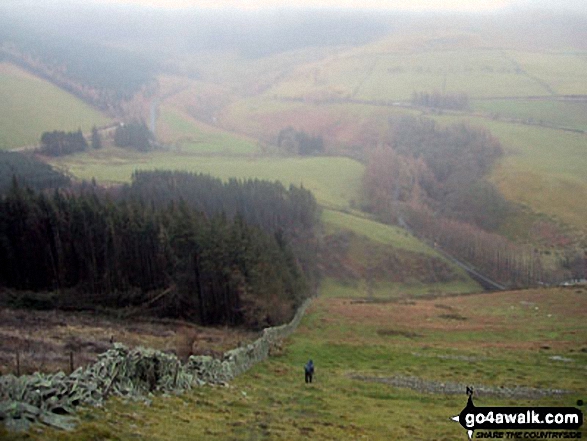 Walk c183 Lord's Seat and Graystones from Whinlatter Forest Park - Heading down towards Scawgill Bridge, Whinlatter Pass from Graystones