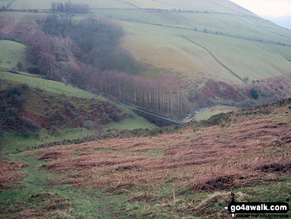 Walk c183 Lord's Seat and Graystones from Whinlatter Forest Park - Scawgill Bridge, Whinlatter Pass