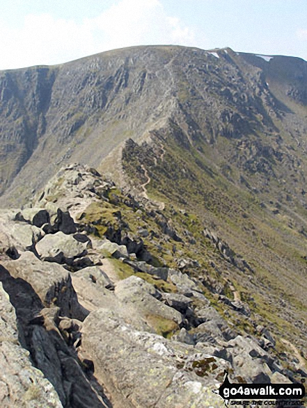 Walk c220 Helvellyn via Striding Edge from Glenridding - On Striding Edge - looking up to Helvellyn