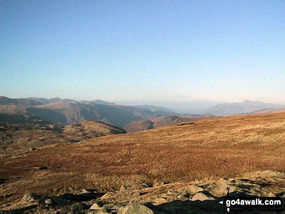 Walk c189 High Raise from Rosthwaite - Looking north across the High Raise (Langdale) massif