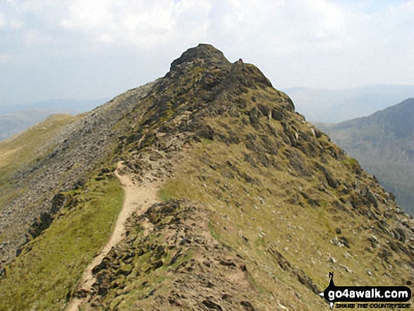 Striding Edge summit 