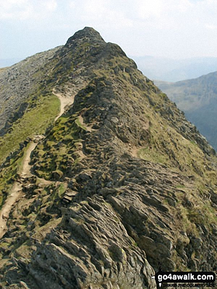 Walk c220 Helvellyn via Striding Edge from Glenridding - Striding Edge