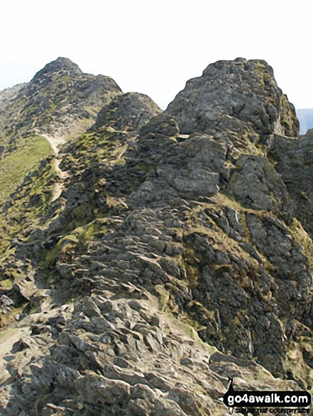 Walk c220 Helvellyn via Striding Edge from Glenridding - Striding Edge