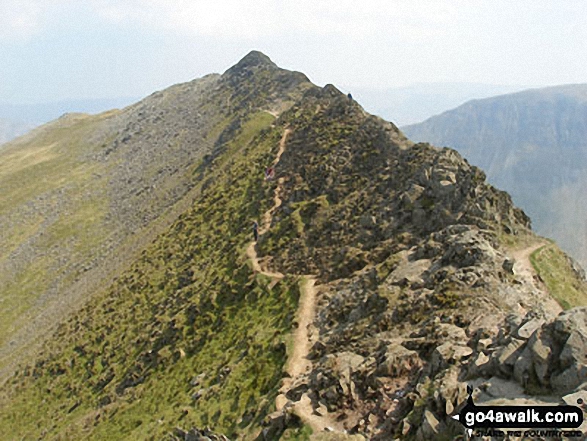 Walk c427 Helvellyn via Striding Edge from Patterdale - The 'easier' path on the north side of Striding Edge