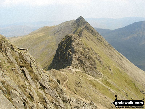 Walk c432 Helvellyn from Thirlmere - Striding Edge from the lower slopes of Helvellyn