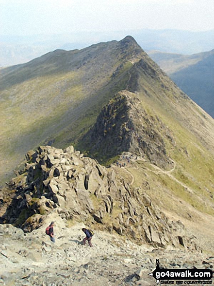 Walk c220 Helvellyn via Striding Edge from Glenridding - Striding Edge from Helvellyn