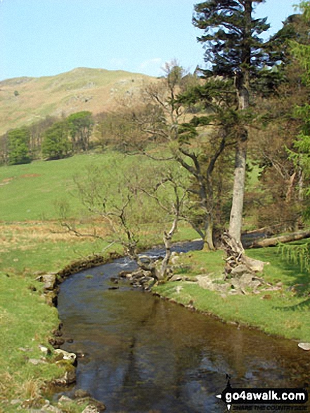 Walk c220 Helvellyn via Striding Edge from Glenridding - Grisedale Beck with Birkhouse Moor beyond