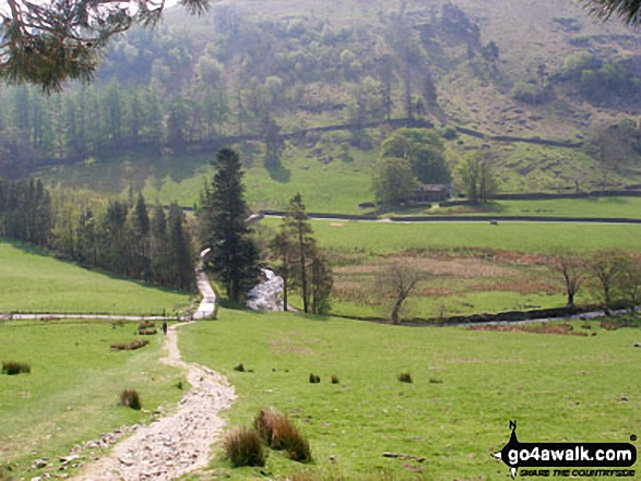 Grisedale from Brownend Plantation 