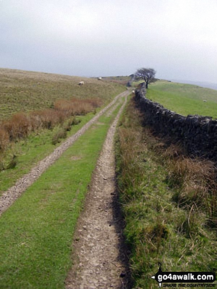 Walk c375 Nine Standards Rigg via The Coast to Coast walk from Kirkby Stephen - The Coast to Coast Walk up Hartley Fell towards Nine Standards Rigg