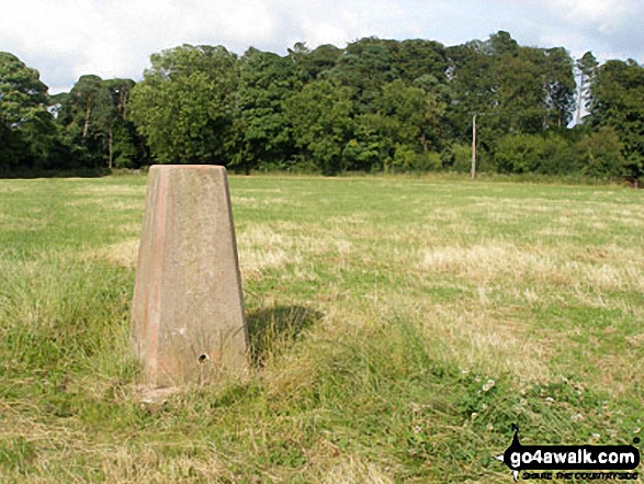 Wendover Woods (Haddington Hill) trig point 