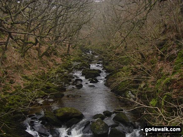 Walk ny100 The Ingleton Waterfalls from Ingleton - The River Doe near The Ingleton Waterfalls