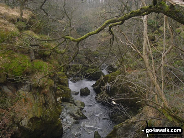 Walk ny100 The Ingleton Waterfalls from Ingleton - The River Doe near The Ingleton Waterfalls