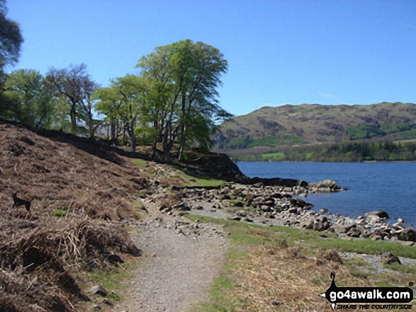 Walk c304 Beda Head and Place Fell from Howtown - Approaching Hallinhag Wood