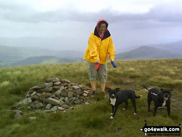 Walk po119 Waun Rydd and Bryn from Talybont Water Treatment Works - On the summit of Waun Rydd with the Black Mountains in the distance