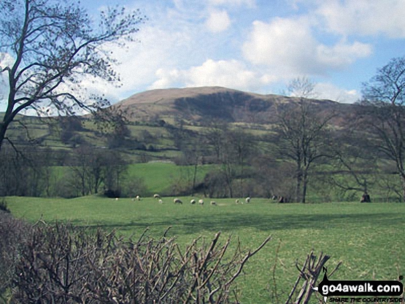 Walk c344 Aye Gill Pike and Snaizwold Fell from Dent - Calf Top from Barth Bridge, Dentdale