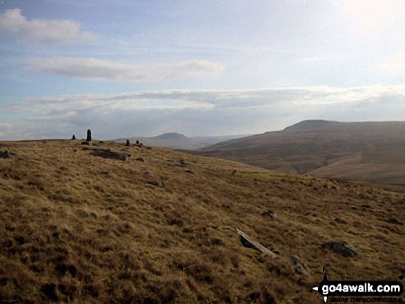 Walk c357 Aye Gill Pike, Snaizwold Fell and Great Knoutberry Hill from Dent - Curricks on Great Knoutberry Hill (Widdale Fell) with Ingleborough (centre) and Whernside (right) beyond