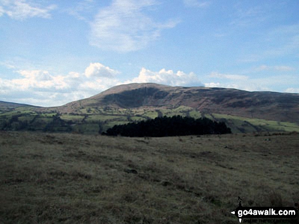 Walk c357 Aye Gill Pike, Snaizwold Fell and Great Knoutberry Hill from Dent - Calf Top from Long Moor (Dentdale)