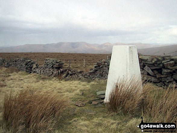 Walk c357 Aye Gill Pike, Snaizwold Fell and Great Knoutberry Hill from Dent - Aye Gill Pike summit trig point