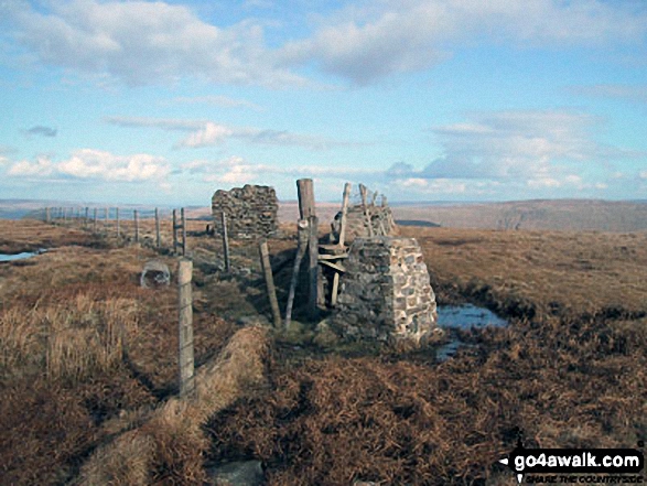 Walk c157 Great Knoutberry Hill (Widdale Fell) from Crosshills Wold - Great Knoutberry Hill (Widdale Fell) summit trig point