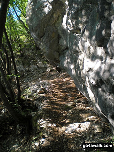 Mountain path on the lower slopes of Monte Baldo above Malga Fiabio 