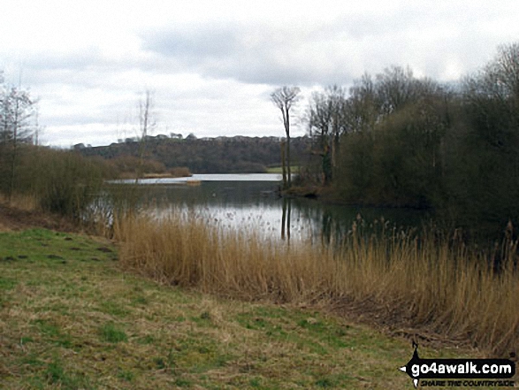 Walk d106 A Circuit of Carsington Water - Carsington Water