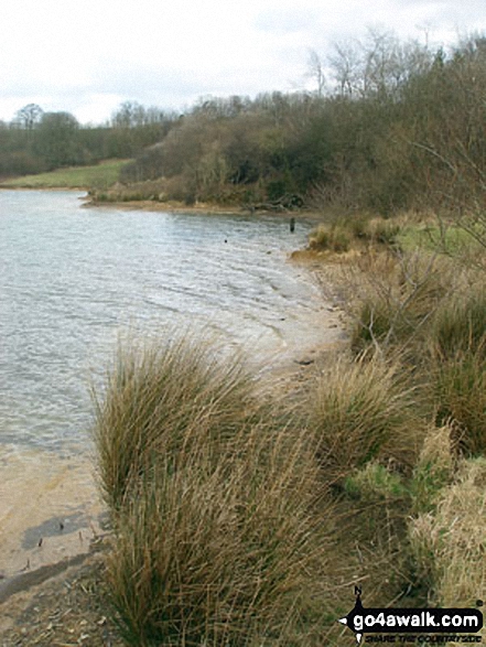 Walk d106 A Circuit of Carsington Water - Carsington Water