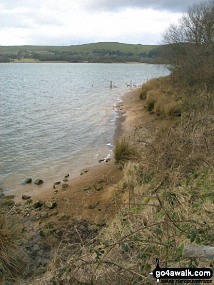 Walk d106 A Circuit of Carsington Water - Carsington Water