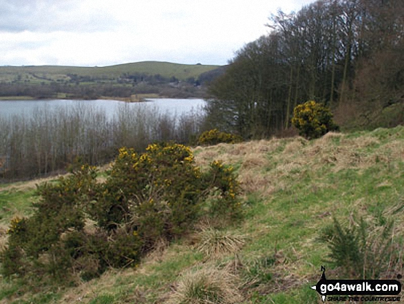 Carsington Water 