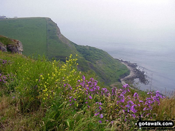 St Aldhelm's Head (or St Alban's Head) from Emmetts Hill, The South West Coast Path 