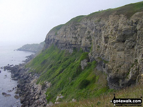 Cliffs East of St Aldhelm's Head (or St Alban's Head), The South West Coast Path 