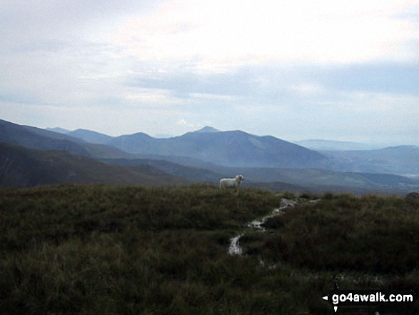 Foel-goch, Elidir Fawr, Mynydd Perfedd and Carnedd y Filiast from Carnedd Gwenllian (Carnedd Uchaf)