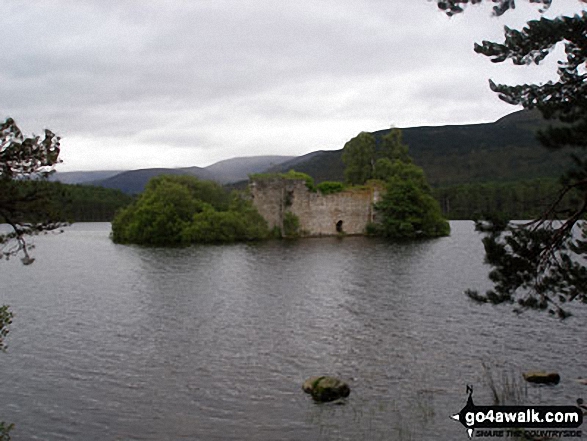 Walk h119 A circuit of  Loch an Eilein, Rothiemurchus - The ruined castle on Loch an Eilein (Rothiemurchus)