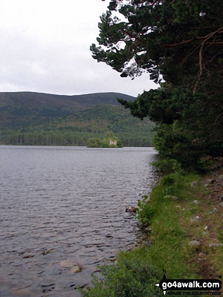 Walk h119 A circuit of  Loch an Eilein, Rothiemurchus - Loch an Eilein (Rothiemurchus) and the castle ruins