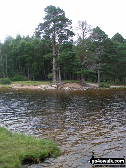 Walk h119 A circuit of  Loch an Eilein, Rothiemurchus - Loch an Eilein (Rothiemurchus)