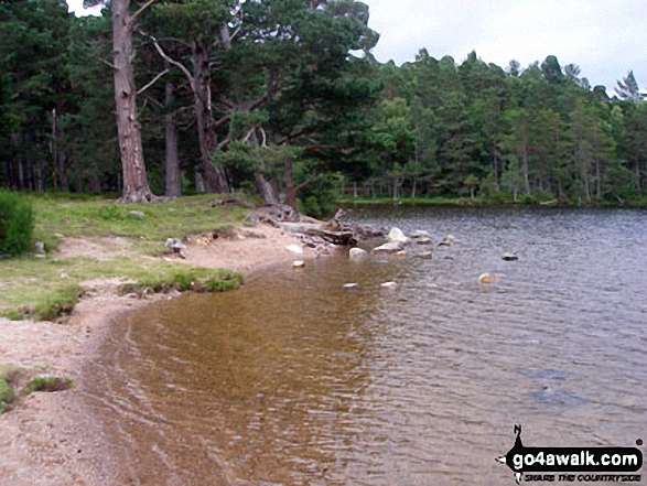 Walk h119 A circuit of  Loch an Eilein, Rothiemurchus - Loch an Eilein (Rothiemurchus)