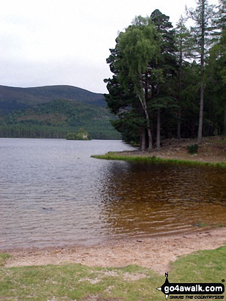 Walk h119 A circuit of  Loch an Eilein, Rothiemurchus - Loch an Eilein (Rothiemurchus)