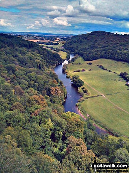 Walk gl130 The Suck Stone from Symonds Yat - The River Wye from  Symonds Yat Rock