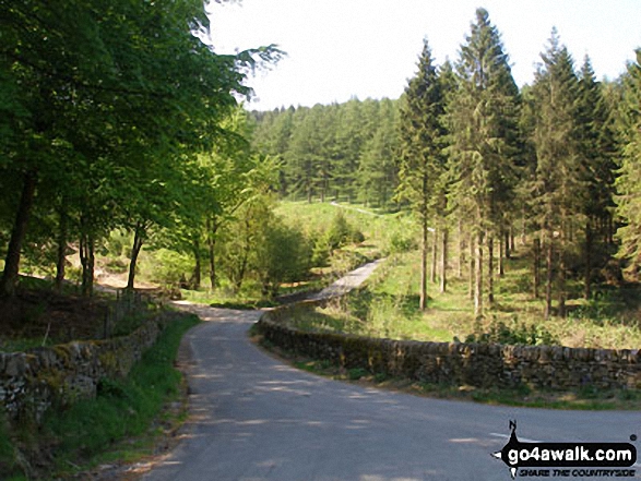 Walk ch226 Shutlingsloe from Wildboarclough - Macclesfield Forest